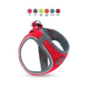 Pechera Para Perro Deportivo DCA312