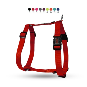 Arnes Para Perro Signature H DCSN201