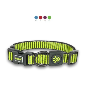 Collar Para Perro Martini Bean DCS008