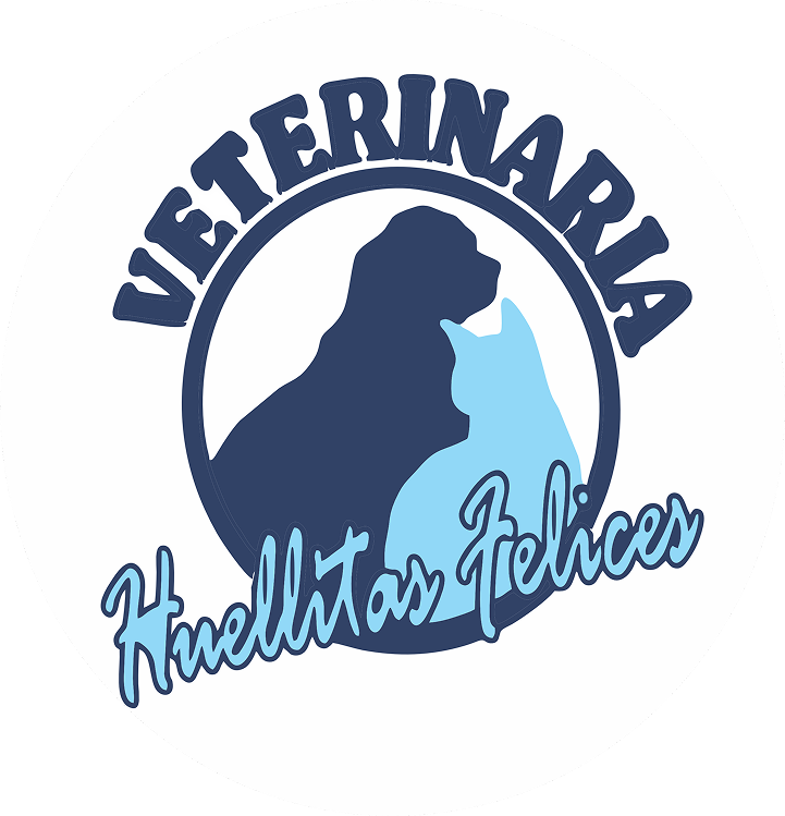 vethuellitasfelices.com